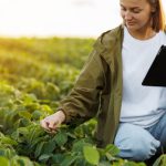 Mujer con tablet observa el estado de las hojas de un cultivo